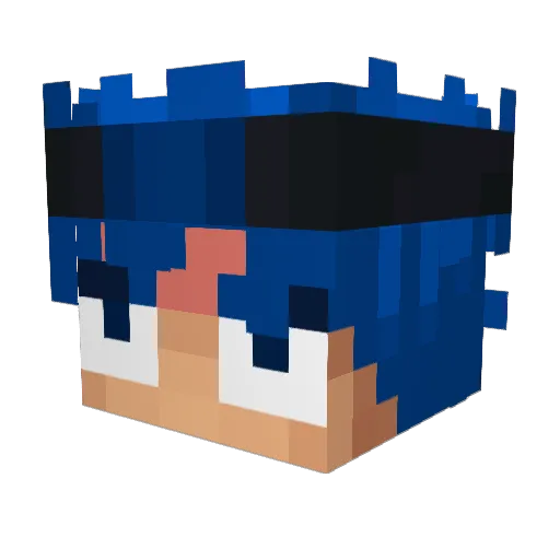 bIzzrd Minecraft avatar head, 3D render