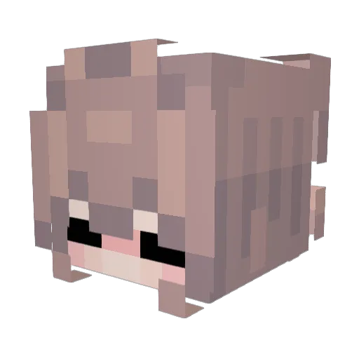 bLaCkTeA_ Minecraft avatar head, 3D render