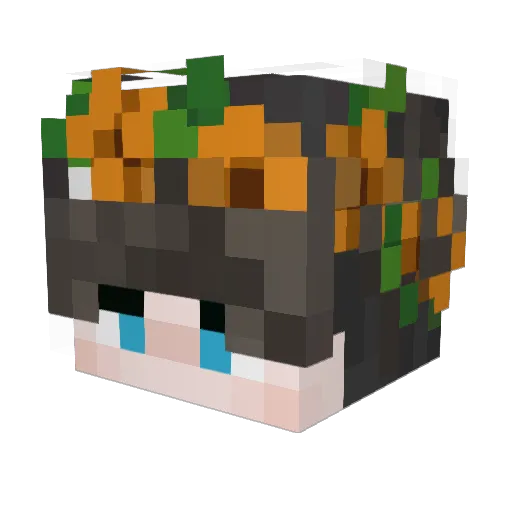 bLiNok_ Minecraft avatar head, 3D render
