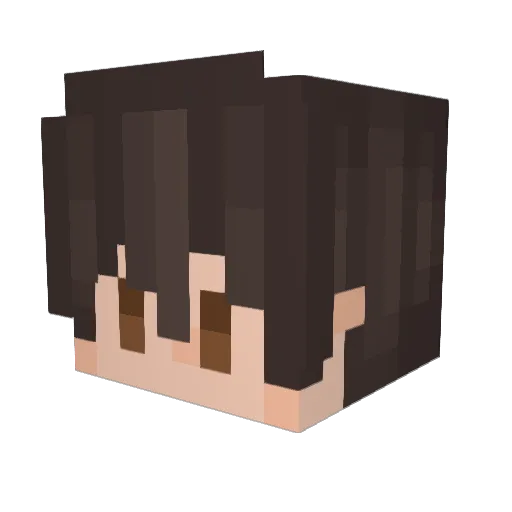 bNoam Minecraft avatar head, 3D render
