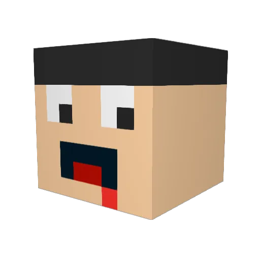 bNw7 Minecraft avatar head, 3D render