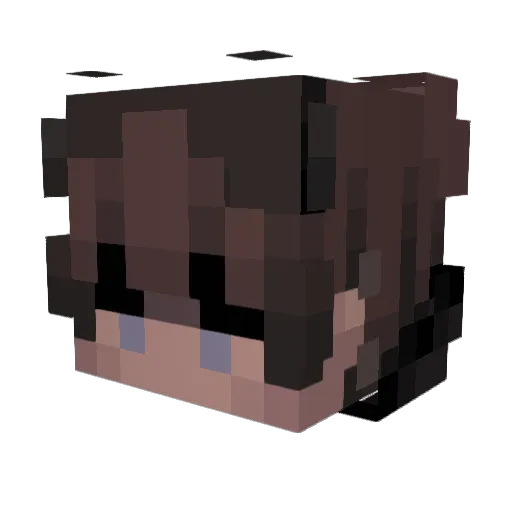 bRUV_yt Minecraft avatar head, 3D render
