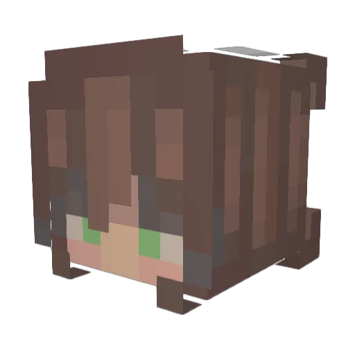 b_0m Minecraft avatar head, 3D render