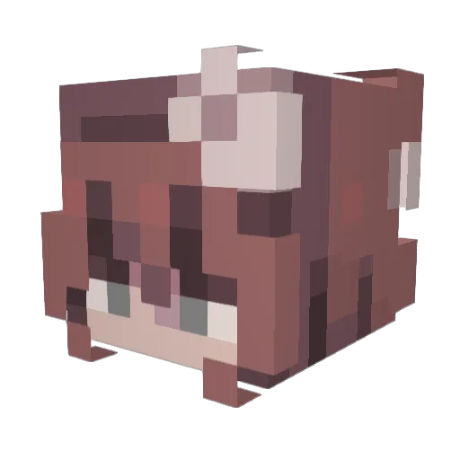 b_Blossom Minecraft avatar head, 3D render