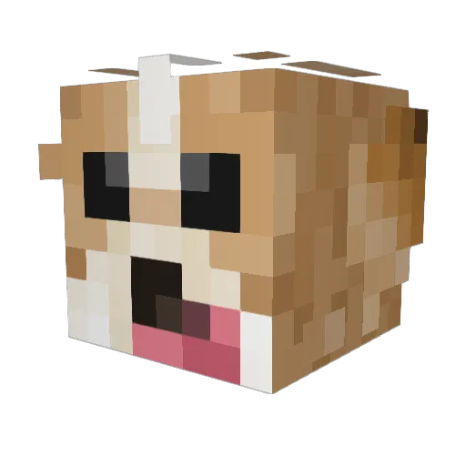 b_____d Minecraft avatar head, 3D render