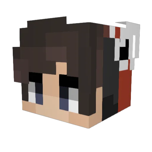 b_ba_roo_d Minecraft avatar head, 3D render