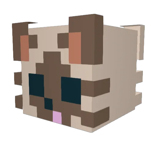 b_bosong Minecraft avatar head, 3D render