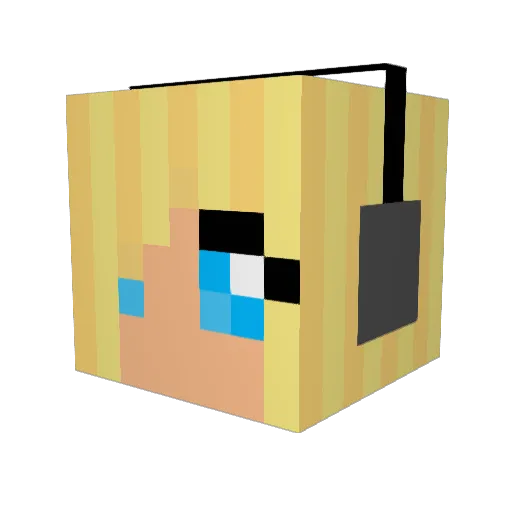 b_brews Minecraft avatar head, 3D render