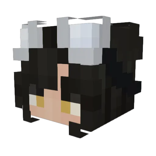 b_lank_ Minecraft avatar head, 3D render