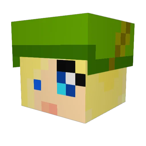 ba0204 Minecraft avatar head, 3D render