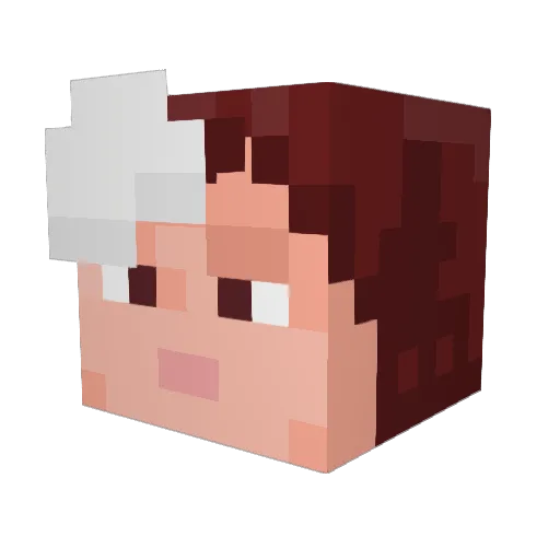ba4sed Minecraft avatar head, 3D render