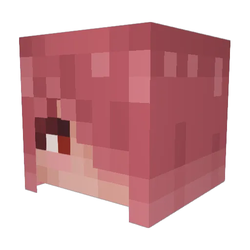 ba5tard Minecraft avatar head, 3D render
