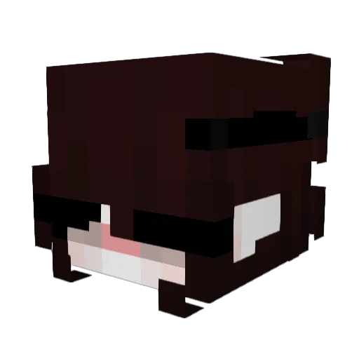 ba7rain Minecraft avatar head, 3D render