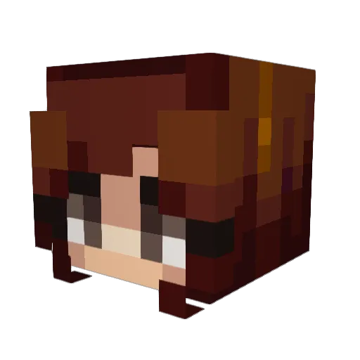 baaa1542 Minecraft avatar head, 3D render