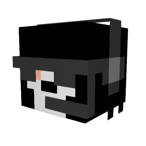 baam555 Minecraft avatar head, 3D render