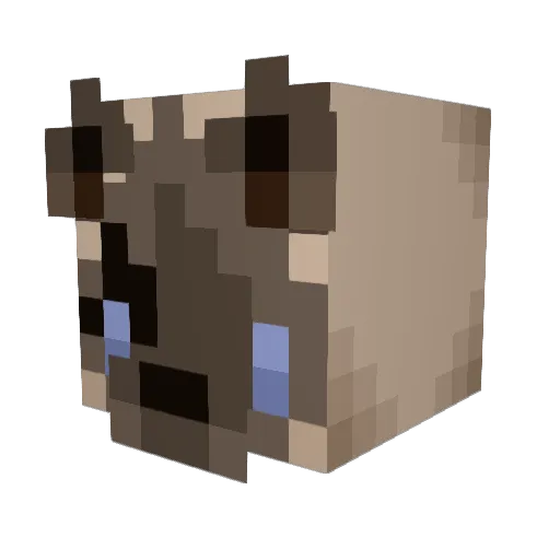 bababooie91 Minecraft avatar head, 3D render