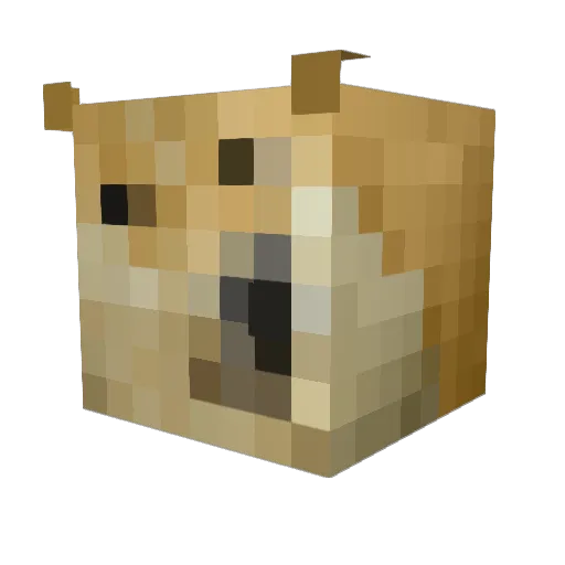 babone21 Minecraft avatar head, 3D render