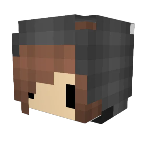babyblubird Minecraft avatar head, 3D render
