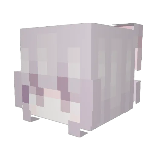 babyheogan Minecraft avatar head, 3D render