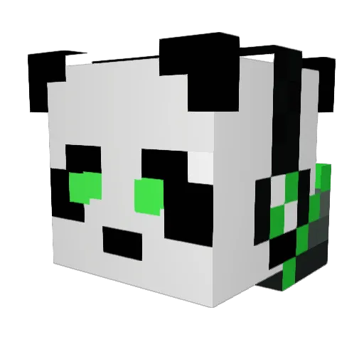 babykiller4 Minecraft avatar head, 3D render