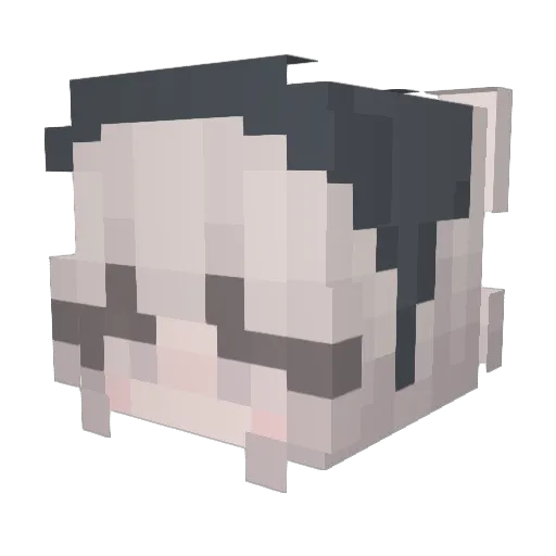 babyram8 Minecraft avatar head, 3D render