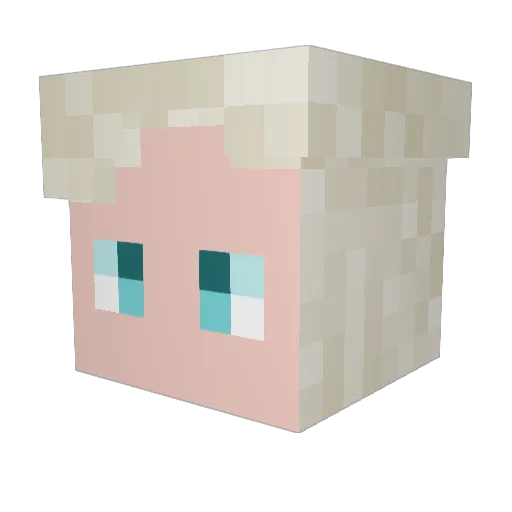babyrooster668 Minecraft avatar head, 3D render