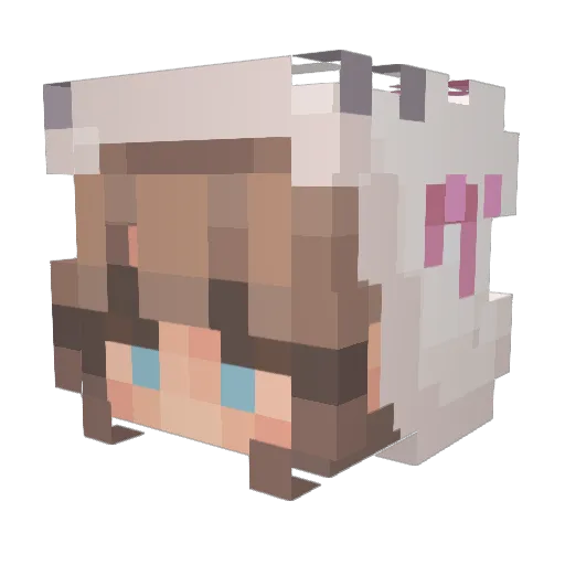 babyshambIes Minecraft avatar head, 3D render