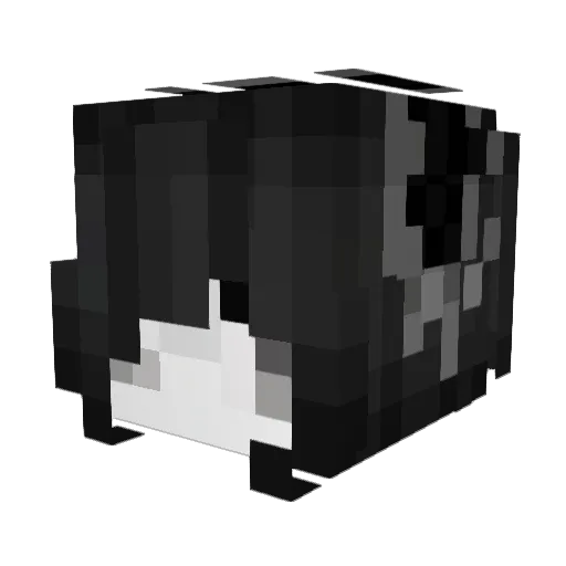 babyuoon Minecraft avatar head, 3D render