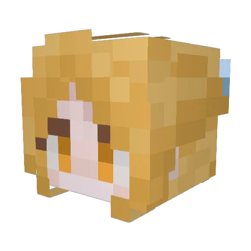 babyyeye Minecraft avatar head, 3D render