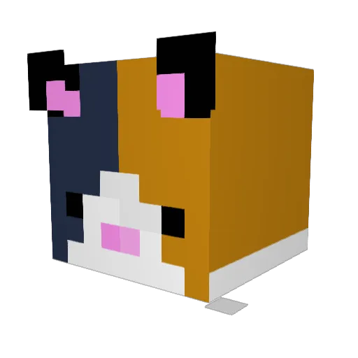 baccc Minecraft avatar head, 3D render