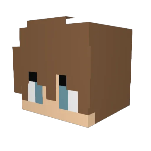 bacho_n Minecraft avatar head, 3D render