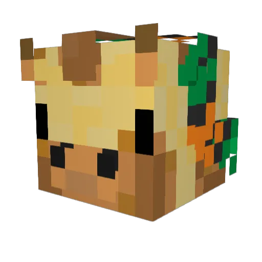 back_fayth Minecraft avatar head, 3D render