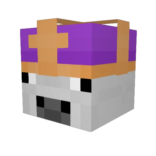 back_pack Minecraft avatar head, 3D render