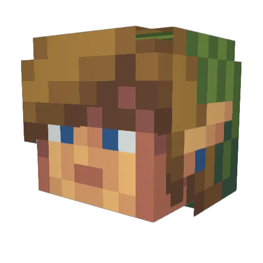 backflipsimmons Minecraft avatar head, 3D render