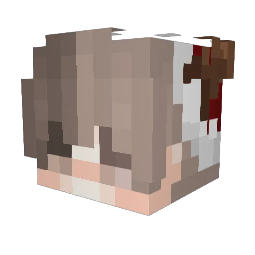 backhot1 Minecraft avatar head, 3D render