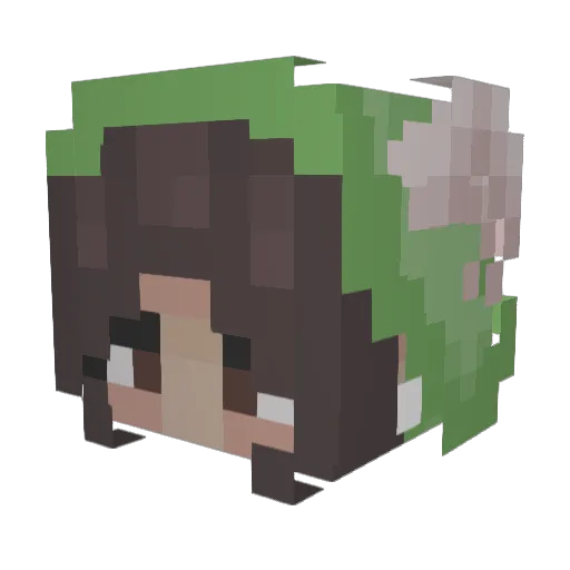 backpackmak12 Minecraft avatar head, 3D render