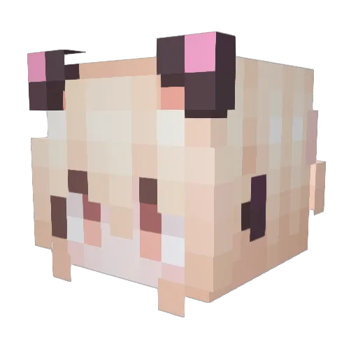 backwind Minecraft avatar head, 3D render
