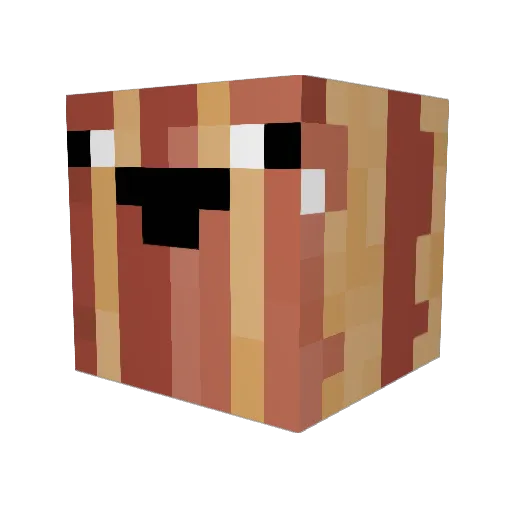 bacon1002 Minecraft avatar head, 3D render