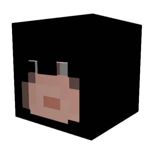 bacon1242 Minecraft avatar head, 3D render