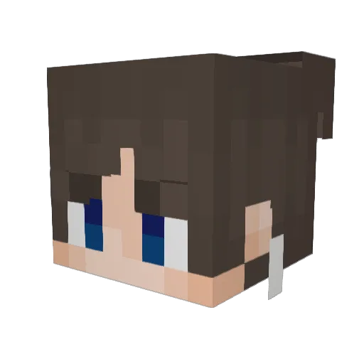 baconcat16 Minecraft avatar head, 3D render
