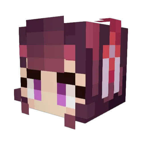 baconcatkv Minecraft avatar head, 3D render
