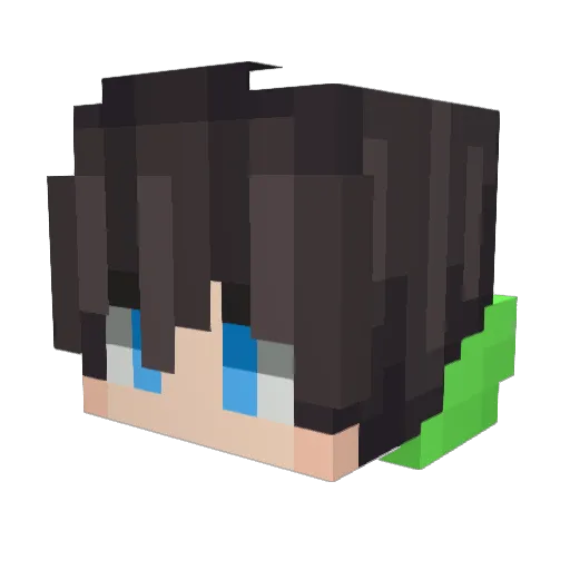 bacondudeme Minecraft avatar head, 3D render