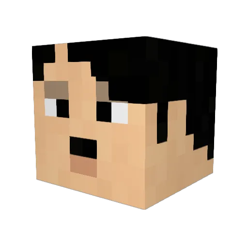 baconface6 Minecraft avatar head, 3D render