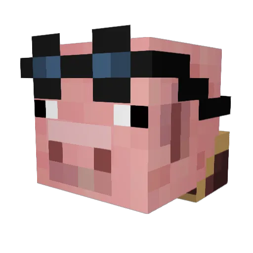 bacongamer004 Minecraft avatar head, 3D render