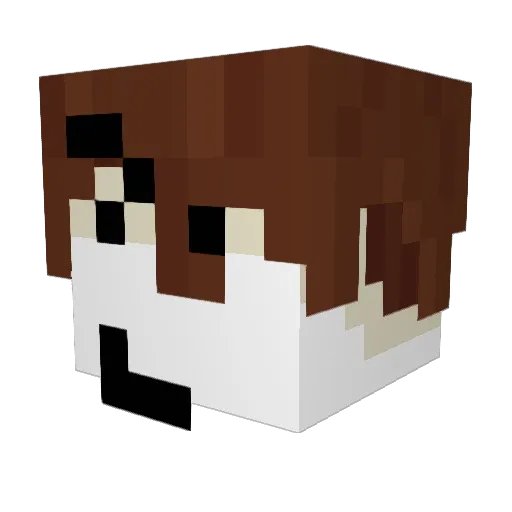 baconkim12 Minecraft avatar head, 3D render
