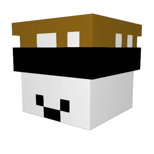 baconking76 Minecraft avatar head, 3D render