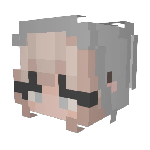 baconman5321 Minecraft avatar head, 3D render