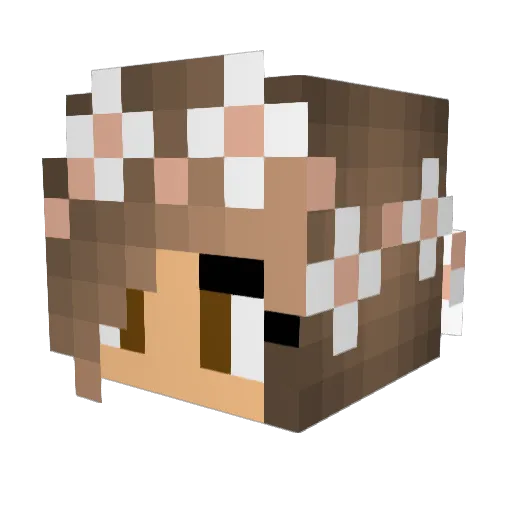 baconqueen16 Minecraft avatar head, 3D render