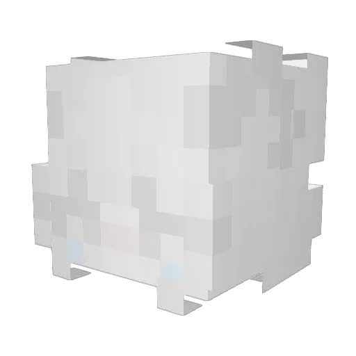 baconwaffles777 Minecraft avatar head, 3D render