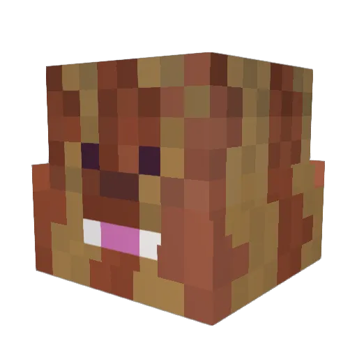 baconwave9 Minecraft avatar head, 3D render